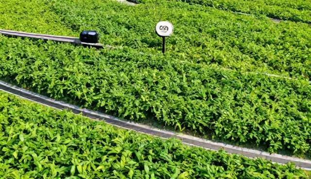 临床诊疗服务优化中的选型关注点分析
