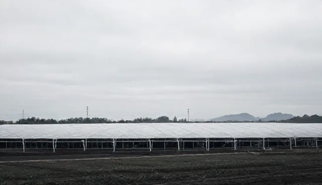 慢病随访服务优化中的关键实践与执行要点